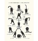 Le Chat domestique et son