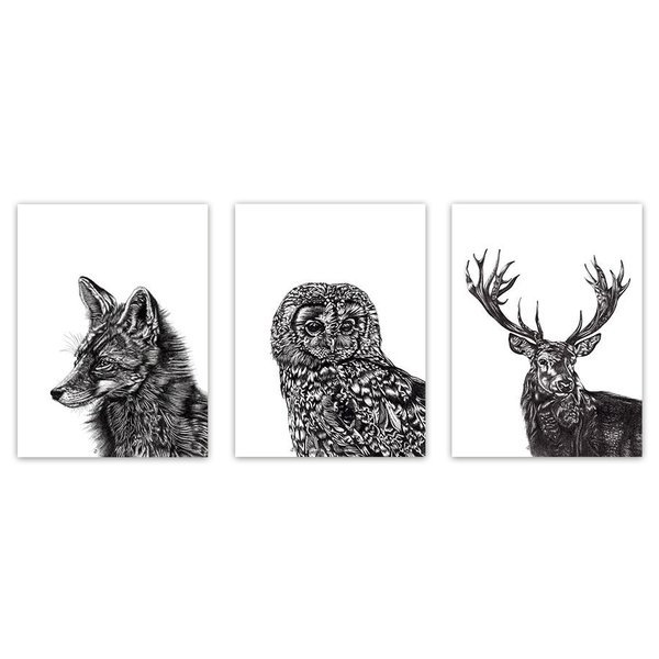 Lucy Francis Kunstdruck Set