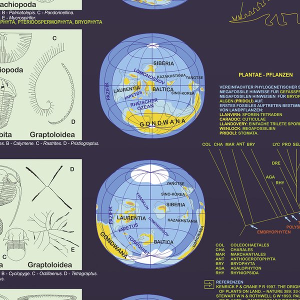 Lebendiger Planet Poster