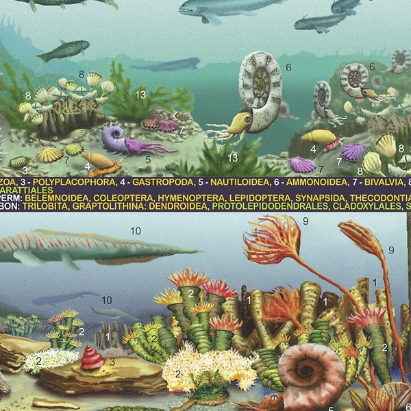 Lebendiger Planet Poster