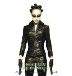 Matrix - Reloaded Poster