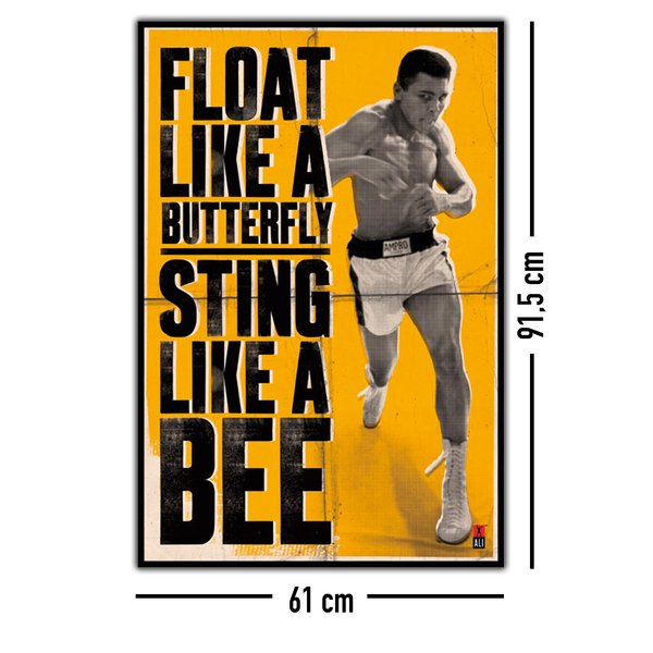 Muhammad Ali "Float and Sting"