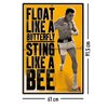 Muhammad Ali "Float and Sting"