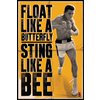 Muhammad Ali "Float and Sting"