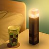 Minecraft Fackellampe Torch