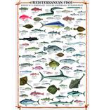 Mediterranean Fish Kunstdruck