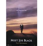 Meet Joe Black Poster