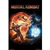 Mortal Kombat 9 Poster