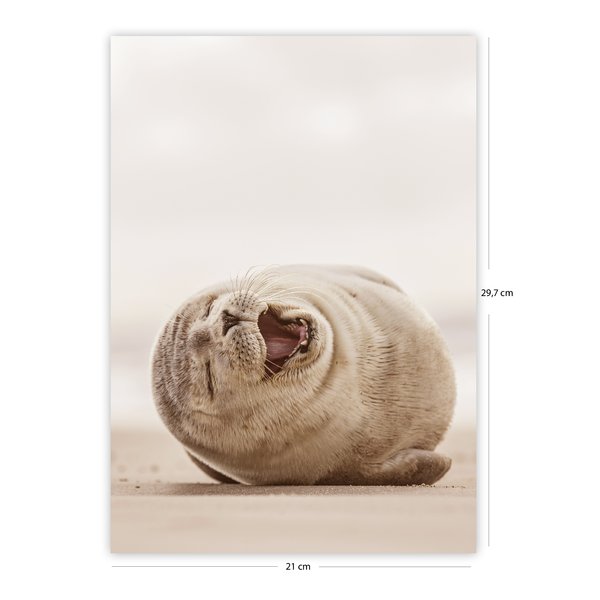 Meeresstimmung Kunstdruck Set