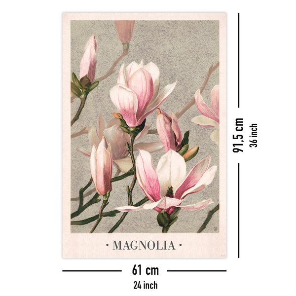 Magnolia Poster L. Prang & Co