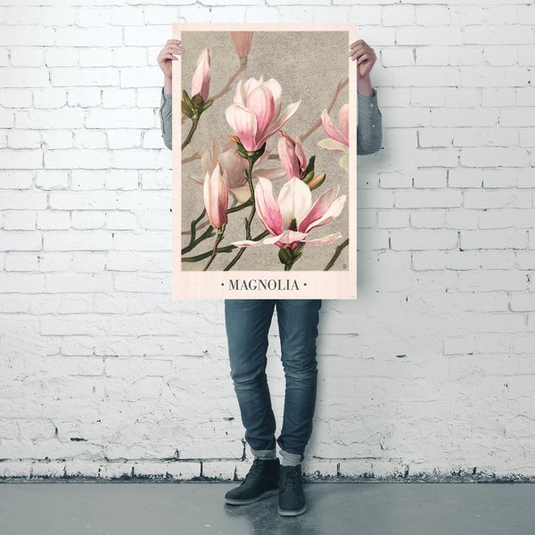 Magnolia Poster L. Prang & Co