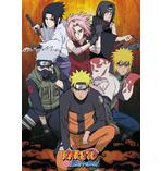 Naruto Shippuden Poster Team