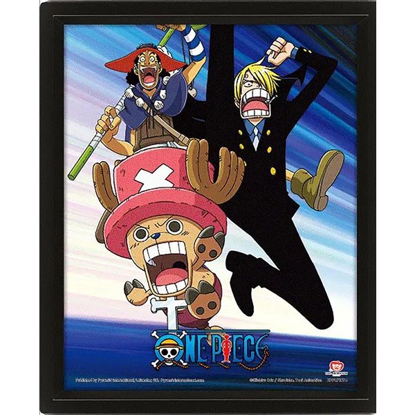 One Piece 3D Poster Straw Hat