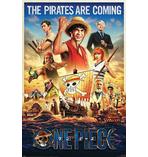 One Piece Poster The Pirates..