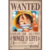 One Piece Poster Wanted