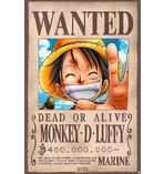 One Piece Poster Wanted