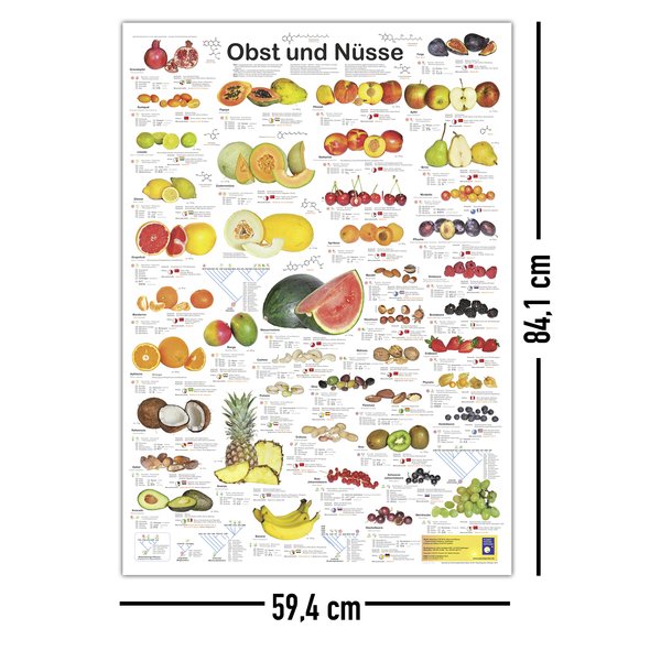 Obst und N&uuml;sse Poster