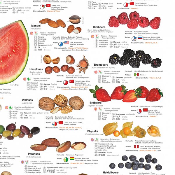 Obst und N&uuml;sse Poster