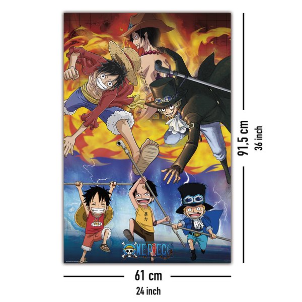 One Piece Poster