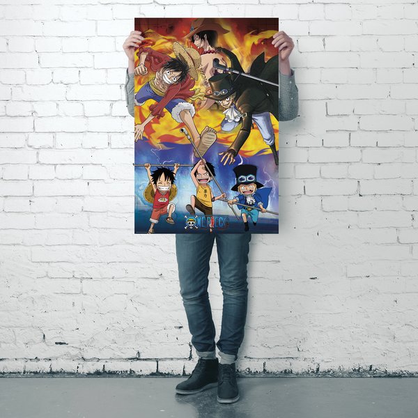 One Piece Poster