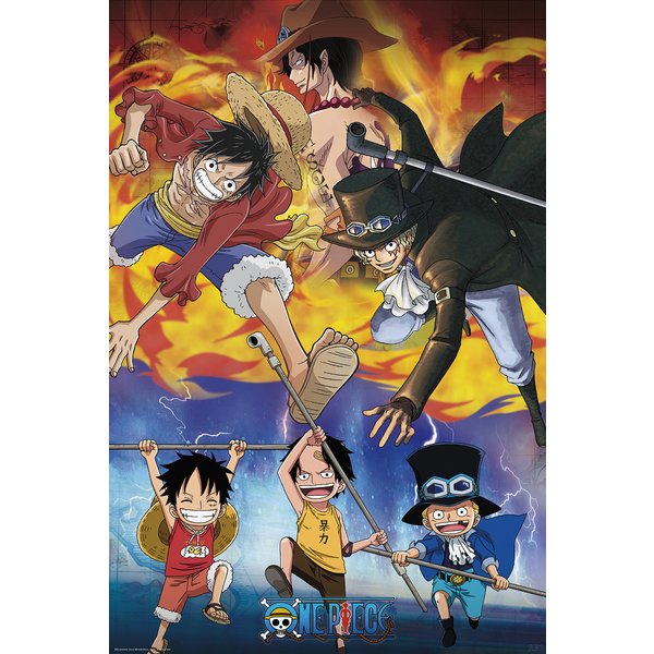One Piece Poster
