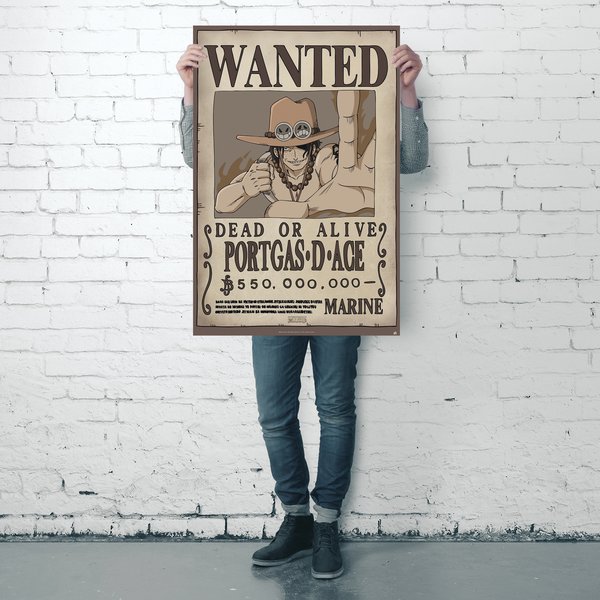 One Piece Poster Wanted
