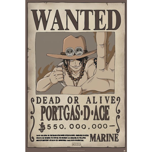 One Piece Poster Wanted