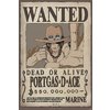 One Piece Poster Wanted