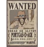 One Piece Poster Wanted