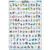 Pokemon Poster 4er-Set Region