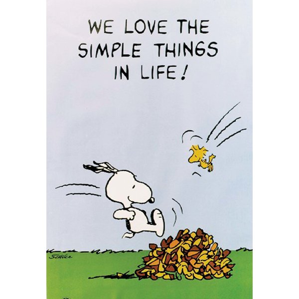 Peanuts Poster We Love The
