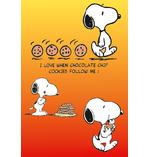 Peanuts Poster Cookies