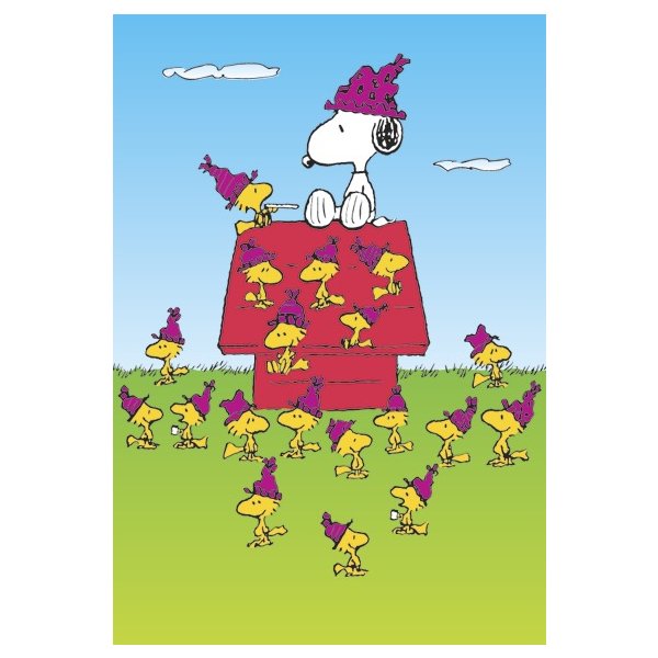 Peanuts Snoopy & Woodstock