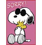 Peanuts - Sorry