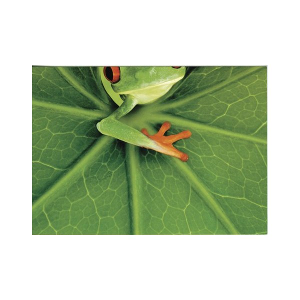 Postkarten-Puzzel Frog