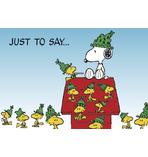 Peanuts just to Say...