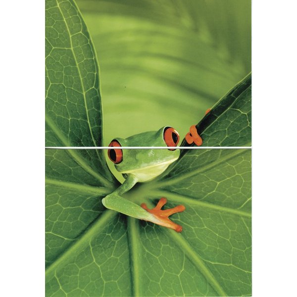 Postkarten-Puzzel Frog