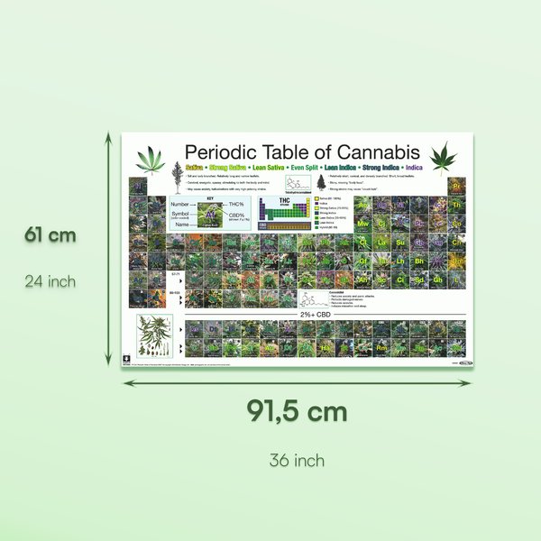 Periodic Table Of Cannabis