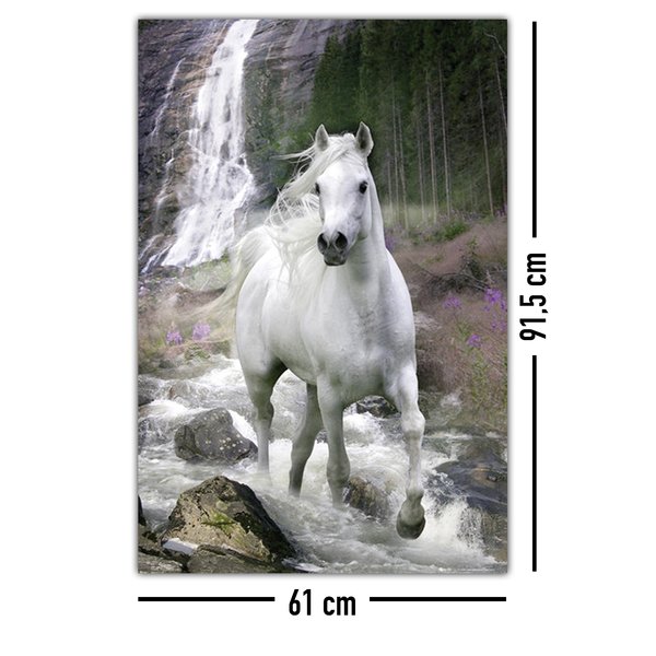 Pferde Poster Schimmel