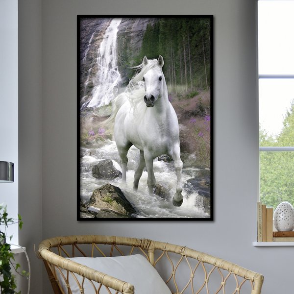 Pferde Poster Schimmel