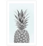 Pineapple Poster Ananas