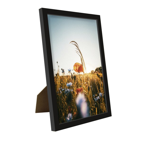 Posterrahmen, Bilderrahmen