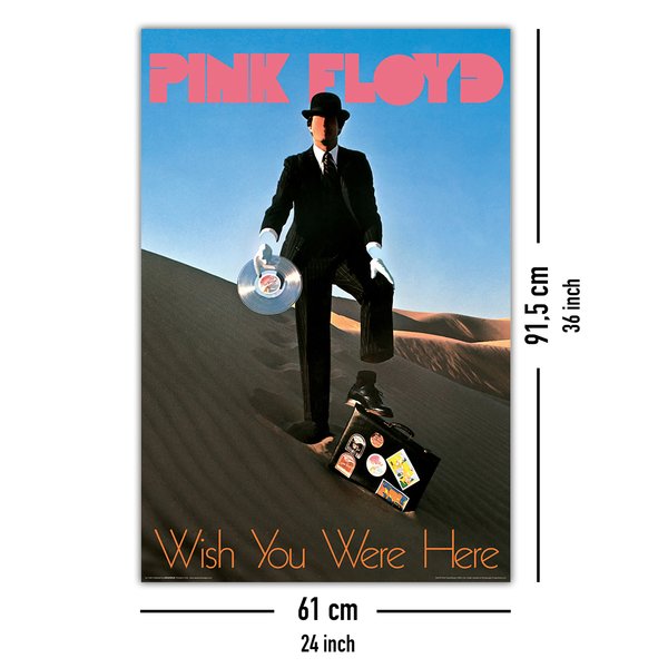 Pink Floyd Poster Wish You