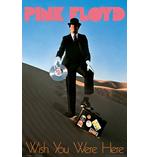 Pink Floyd Poster Wish You