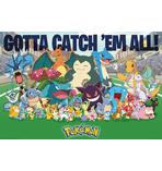 Pokémon Poster Favorites