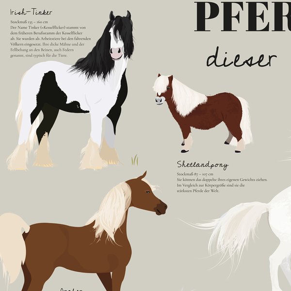 Pferde dieser Erde Poster