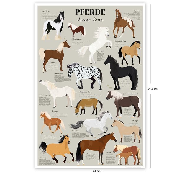 Pferde dieser Erde Poster