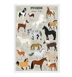 Pferde dieser Erde Poster