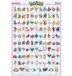Pokémon Poster Sinnoh Region