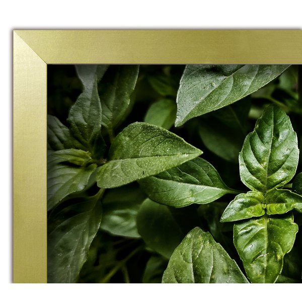 Posterrahmen 80 x 120 cm